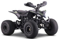 Renegade Pro 1500w 60v 32Ah Electric Quad
