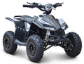 Ranger 1000w 36v Electric Quad
