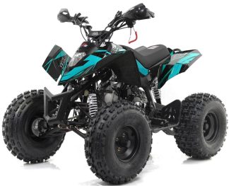 Blue Sniper Pro 120cc Junior Quad Bike (With Reverse)