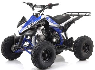 Blue Panther 110cc Kids Quad Bike