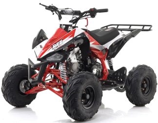 Red Panther 110cc Kids Quad Bike