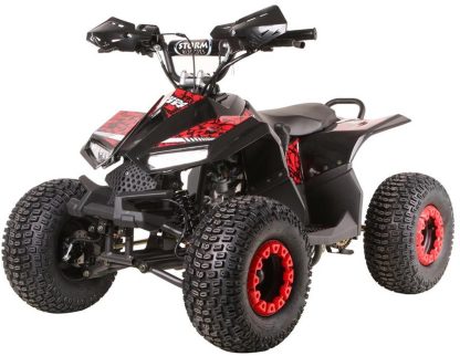 Red Storm 110R Kids Quad Bike (With Reverse)